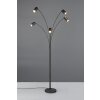 Trio verlichting Marley Staande lamp Zwart, 5-lichts