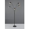 Trio verlichting Marley Staande lamp Zwart, 5-lichts