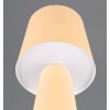 Trio verlichting Nubian Tafellamp Beige, 1-licht