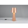 Trio verlichting Nubian Tafellamp Bruin, 1-licht