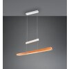 Trio verlichting Trajan Hanglamp LED Wit, 1-licht