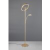 Trio verlichting Willis Staande lamp LED Goud, 2-lichts