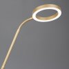 Trio verlichting Willis Staande lamp LED Goud, 2-lichts