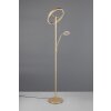 Trio verlichting Willis Staande lamp LED Goud, 2-lichts