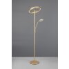 Trio verlichting Willis Staande lamp LED Goud, 2-lichts