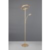 Trio verlichting Willis Staande lamp LED Goud, 2-lichts