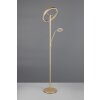 Trio verlichting Willis Staande lamp LED Goud, 2-lichts