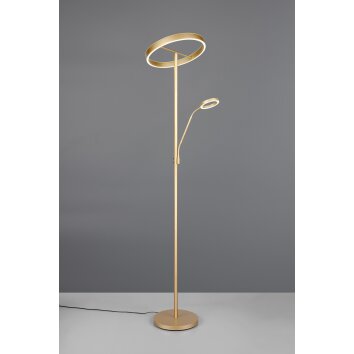 Trio verlichting Willis Staande lamp LED Goud, 2-lichts