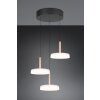 Trio verlichting Celeste Hanglamp LED Bruin, 1-licht