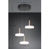 Trio verlichting Celeste Hanglamp LED Bruin, 1-licht