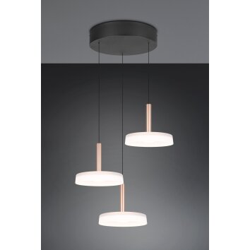 Trio verlichting Celeste Hanglamp LED Bruin, 1-licht