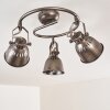 Nanlia Plafondlamp Grijs, Zilver, 3-lichts