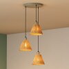 Ledvance DECOR Wand- en plafondlamp Zwart, 3-lichts