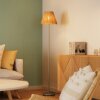 Ledvance DECOR Wand- en plafondlamp Zwart, 1-licht