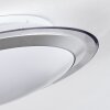 Calen Plafondlamp, Plafondspot LED Wit, 1-licht