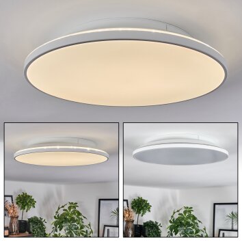 Norea Plafondlamp, Plafondspot LED Wit, 1-licht