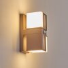 Swanek Wandlamp voor buiten, Wandlamp LED Roest, 2-lichts, Bewegingsmelder