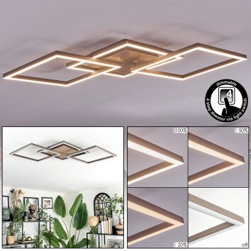 Brina Plafondlamp LED Bruin, Goud, 1-licht