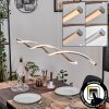 Radogna Hanglamp, Hanglamp LED Zilver, 2-lichts