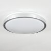 Sapioris Plafondlamp LED Nikkel mat, Wit, 1-licht