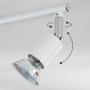 Gjedso Plafondlamp, Plafondspot LED Chroom, Wit, 4-lichts