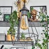 Kigali Hanglamp, Hanglamp Zwart, 3-lichts