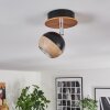 Haldor Plafondlamp, Plafondspot Bruin, Chroom, Zwart, 1-licht