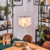 Ciora Hanglamp, Hanglamp Chroom, 1-licht