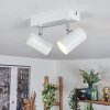 Gesteira Plafondlamp, Plafondspot Wit, 2-lichts