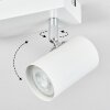 Gesteira Plafondlamp, Plafondspot Wit, 2-lichts