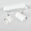 Gesteira Plafondlamp, Plafondspot Wit, 2-lichts