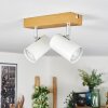 Gesteira Plafondlamp, Plafondspot Chroom, houtlook, 2-lichts