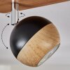 Haldor Plafondlamp, Plafondspot Bruin, Chroom, Zwart, 2-lichts