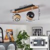 Haldor Plafondlamp, Plafondspot Bruin, Chroom, Zwart, 2-lichts