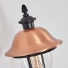 Gascon Wandlamp voor buiten, Wandlamp Koperkleurig, Zwart, 1-licht, Bewegingsmelder