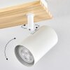 Gesteira Plafondlamp, Kogellampje Beige, 4-lichts