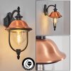 Gascon Plafondspot, Staande lamp Duidelijk, Zwart, 1-licht