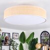 Foggia Staande lamp Natuurlijke kleuren, 4-lichts