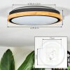 Coentral Plafondlamp, Paneel LED Wit, 1-licht