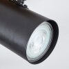 Gesteira Plafondlamp, Wandlamp Antraciet, Koperkleurig, 4-lichts, Afstandsbediening