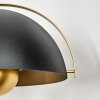 Guttsta Plafondlamp, Staande lamp Goud, Zwart, 4-lichts