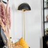 Guttsta Staande lamp Goud, 1-licht