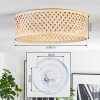 Barroco Plafondlamp, Hanglamp, Staande lamp Goud, Messing, 4-lichts