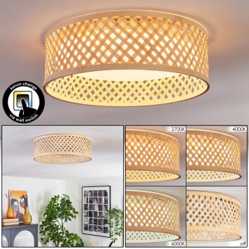 Barroco Plafondlamp LED Natuurlijke kleuren, Wit, 1-licht