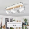 Gesteira Plafondlamp, Hanglamp, Staande lamp Goud, Zwart, 1-licht