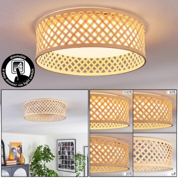 Barroco Plafondlamp LED Natuurlijke kleuren, Wit, 1-licht