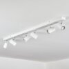 Gesteira Plafondlamp, Plafondspot Chroom, Wit, 6-lichts