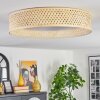 Barroco Plafondlamp LED Natuurlijke kleuren, Wit, 1-licht