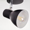 Farel Plafondlamp, Plafondspot Chroom, Zwart, 1-licht