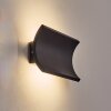 Grana Wandlamp voor buiten, Wandlamp LED Zwart, 2-lichts